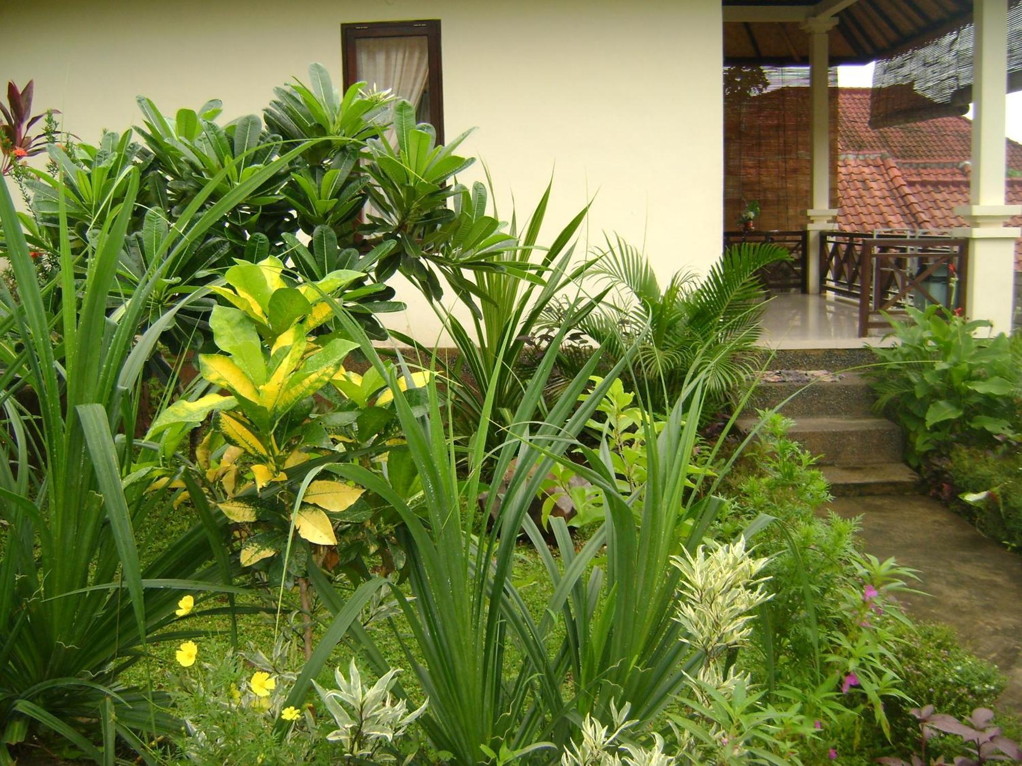 Sinar Bali 2 Hotell Amed Exteriör bild